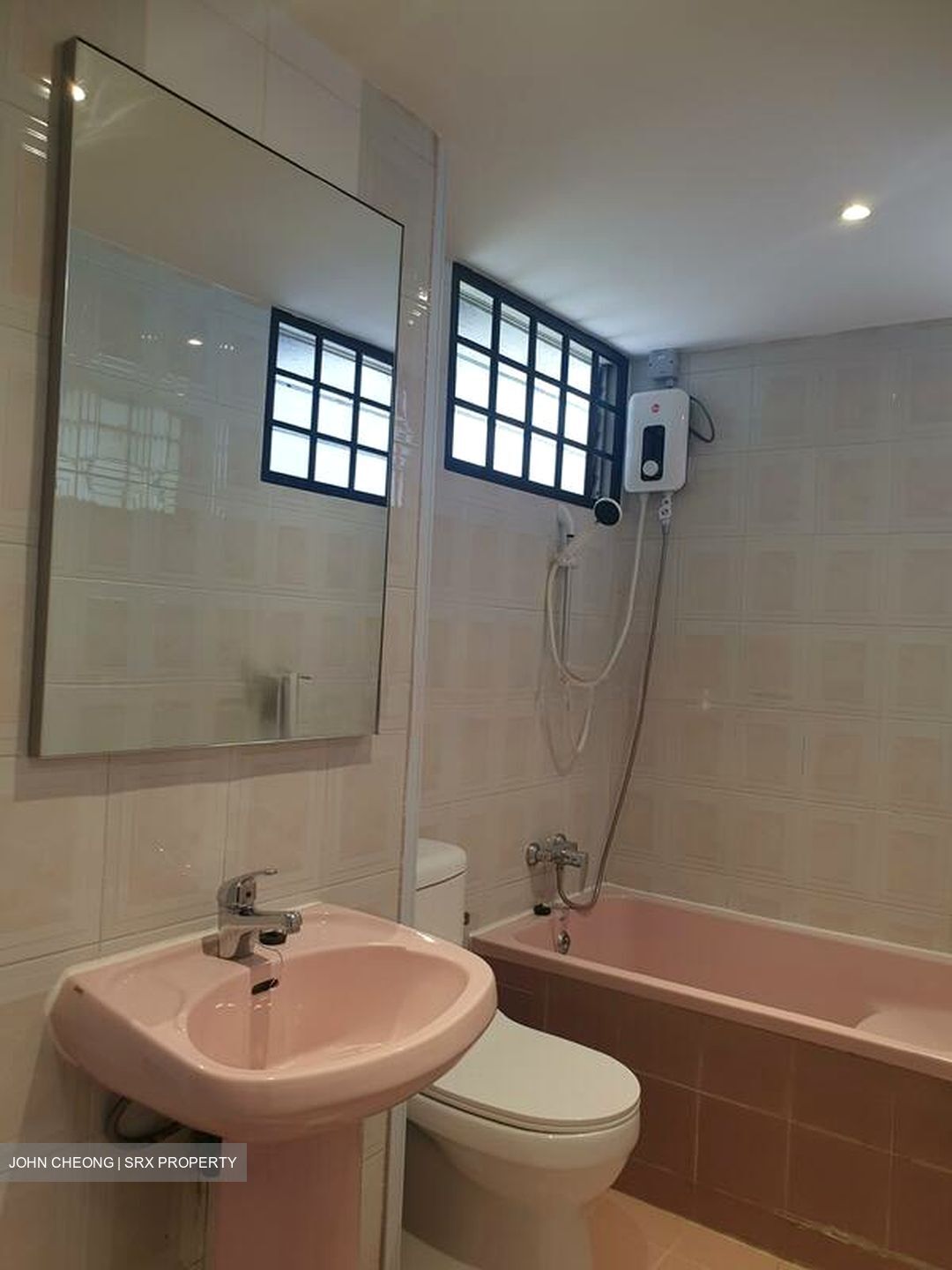 Dunearn Road (D11), Condominium #507201341